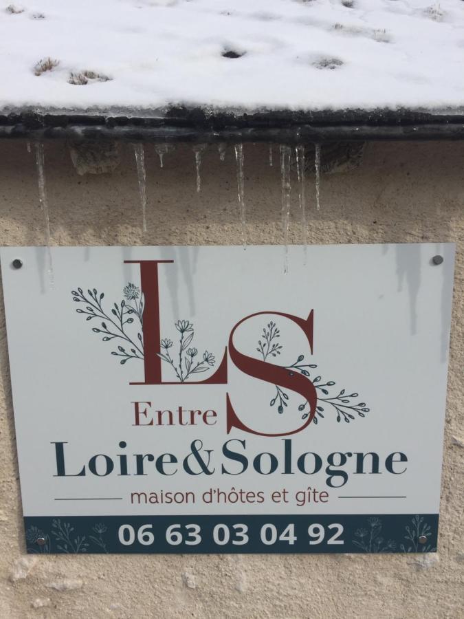 Entre Loire Et Sologne Maison D'Hotes 圣热尔韦拉福雷 外观 照片